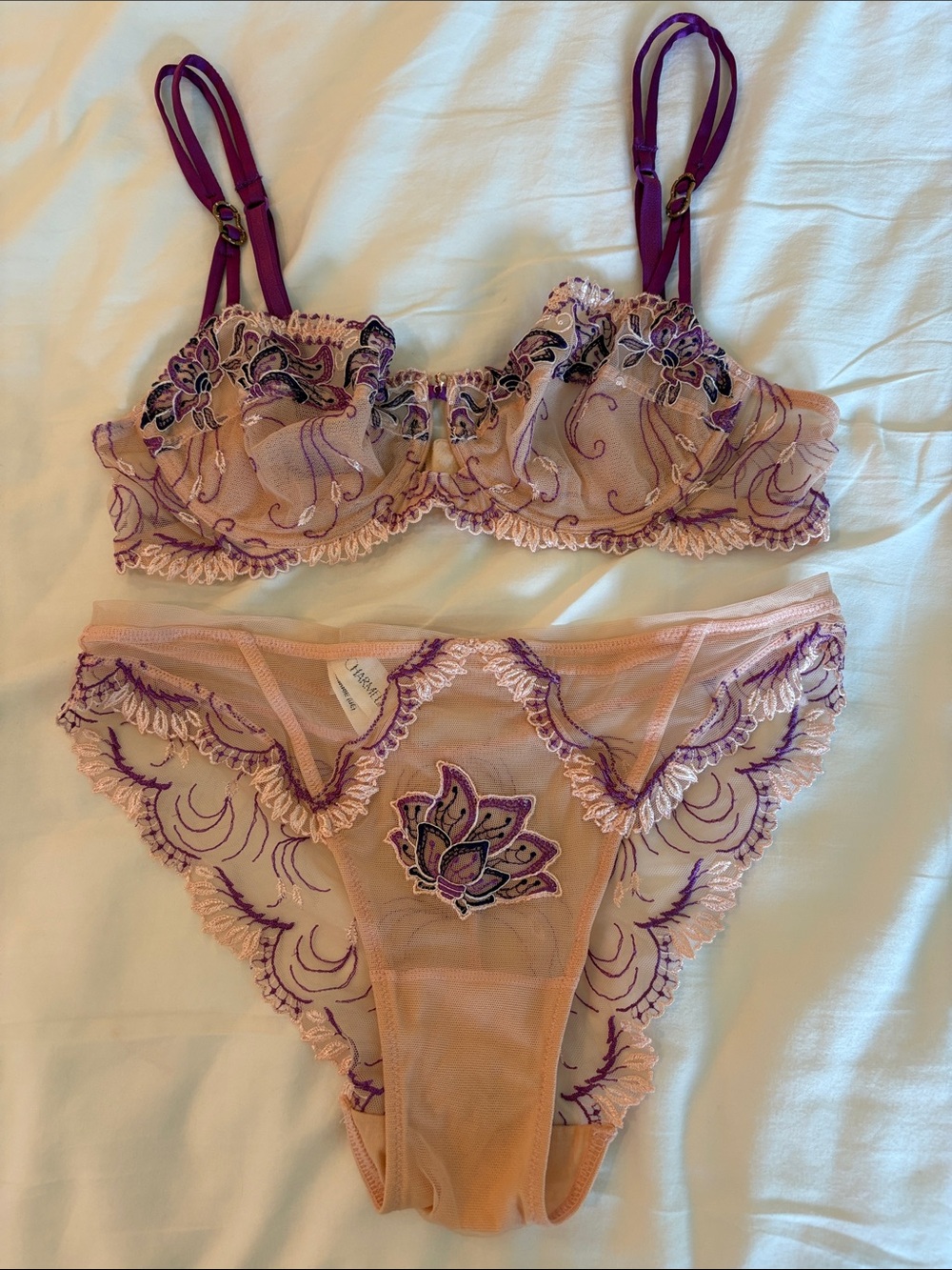 Lise Charmel Embroidered Lace Bra & Panty Set - Pink with Purple Accents 32C